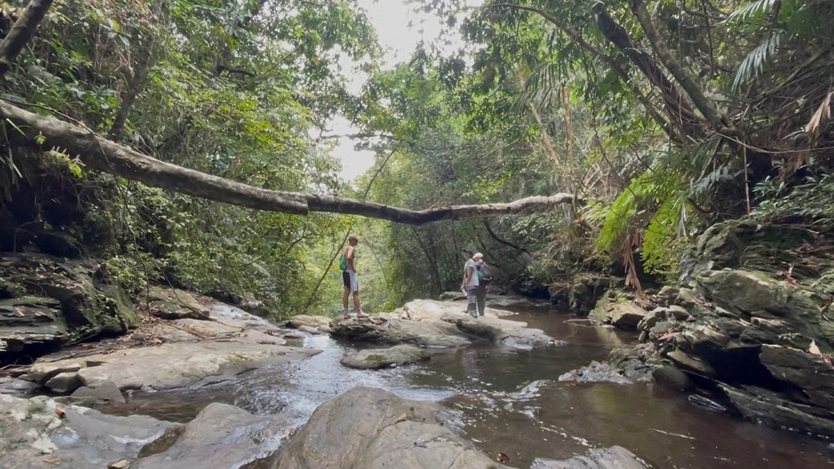 Suối đá trên đường trekking trong Vườn quốc gia Bạch Mã