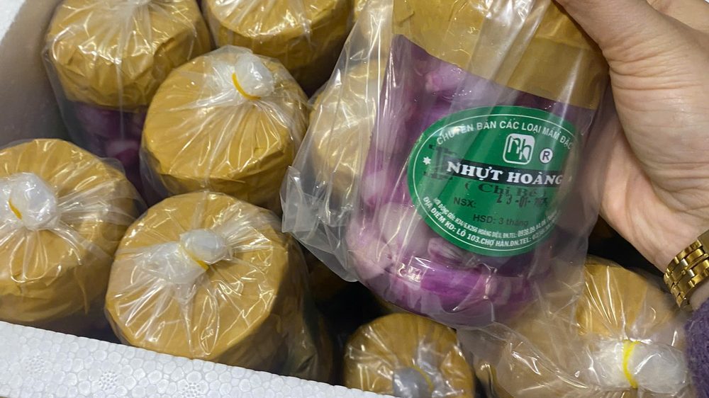 Từng hũ mắm bọc túi nilon buộc chặt rồi xếp vào thùng xốp