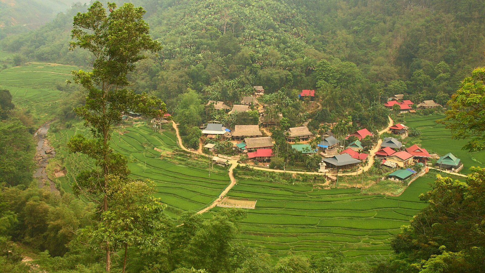 Pù Luông — ruộng bậc thang và bản Thái ở xứ Thanh