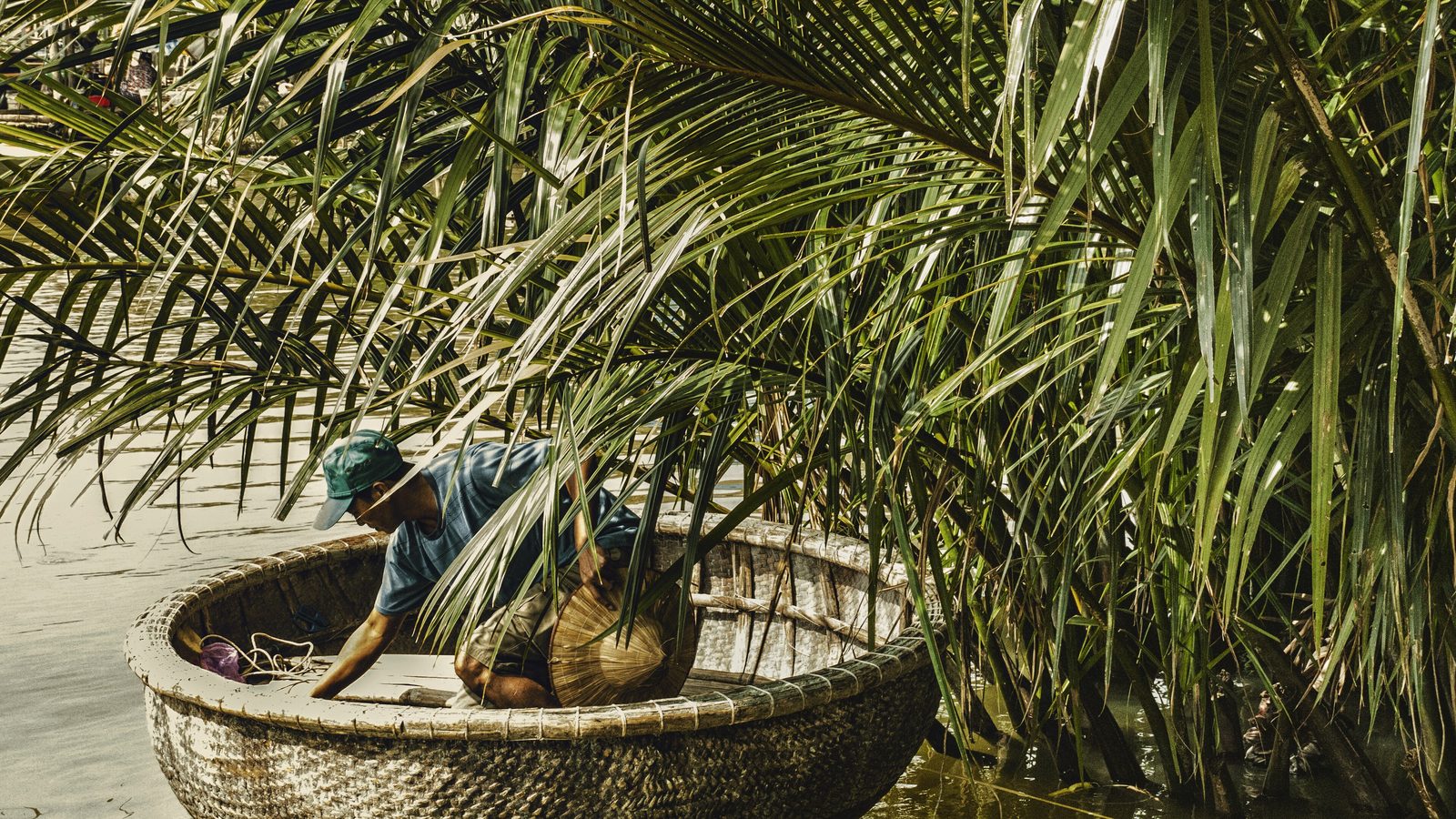 Rừng dừa Bảy Mẫu — dừa nước, thúng chai và một căn cứ kháng chiến