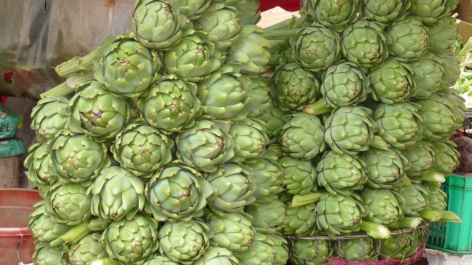 Atisô Đà Lạt — bông hầm giò heo và trà từ lá
